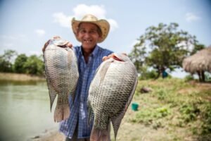 Como Pescar Tilápia: Dicas Infalíveis para Iniciantes 2025