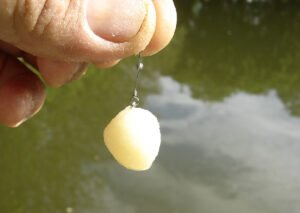 Como fazer isca para pescar com farinha de trigo